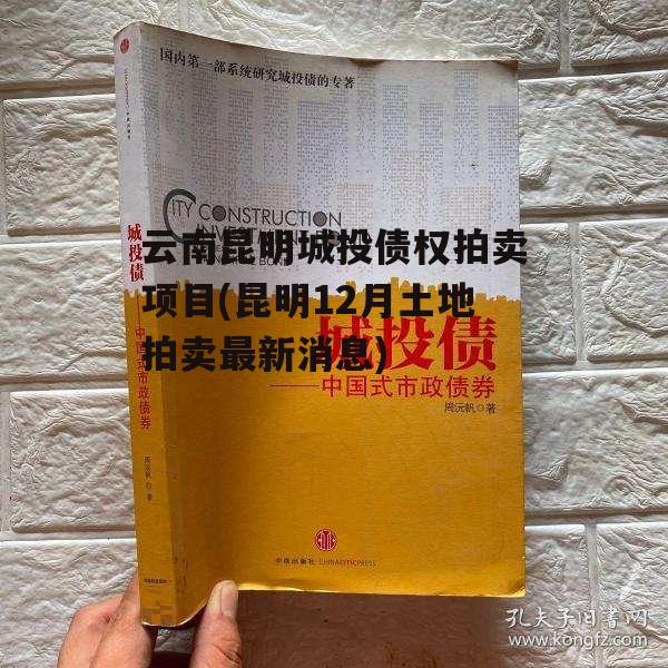 云南昆明城投债权拍卖项目(昆明12月土地拍卖最新消息)