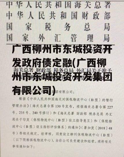 广西柳州市东城投资开发政府债定融(广西柳州市东城投资开发集团有限公司)