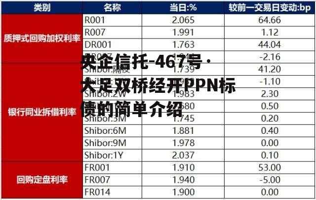 央企信托-467号·大足双桥经开PPN标债的简单介绍