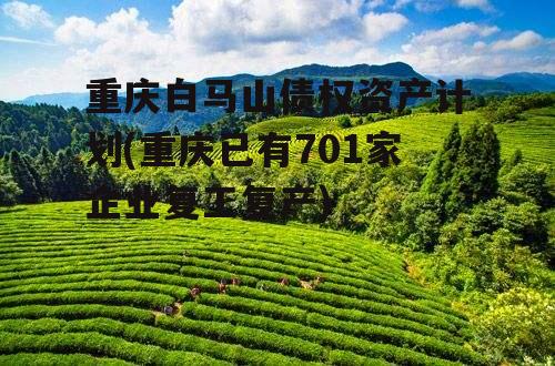 重庆白马山债权资产计划(重庆已有701家企业复工复产)