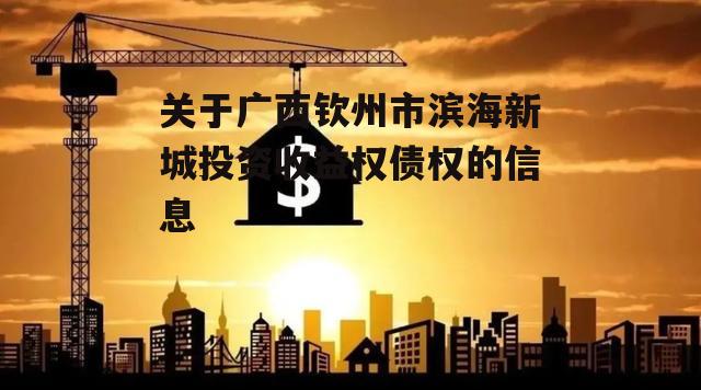 关于广西钦州市滨海新城投资收益权债权的信息