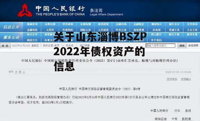 关于山东淄博BSZP2022年债权资产的信息