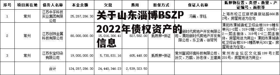 关于山东淄博BSZP2022年债权资产的信息