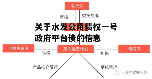 关于水发公用债权一号政府平台债的信息