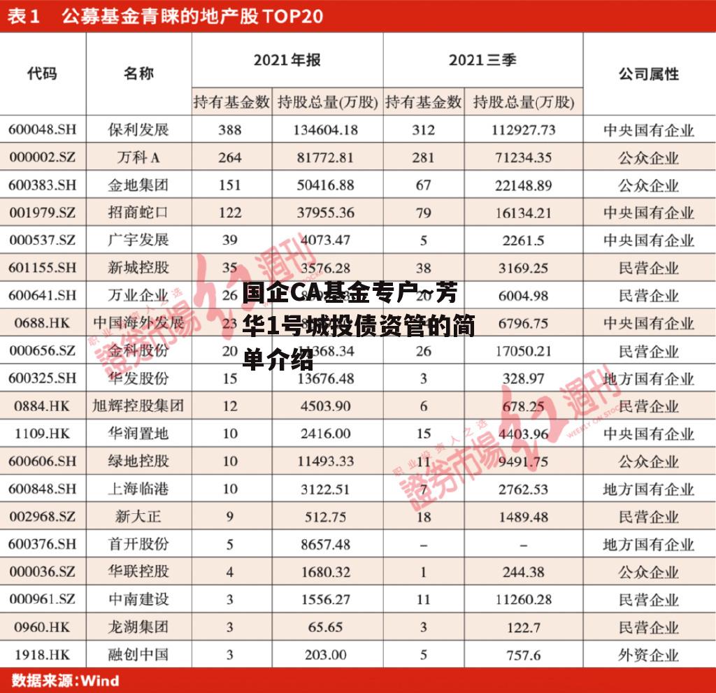 国企CA基金专户～芳华1号城投债资管的简单介绍