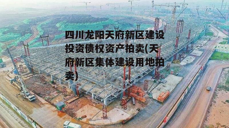 四川龙阳天府新区建设投资债权资产拍卖(天府新区集体建设用地拍卖)