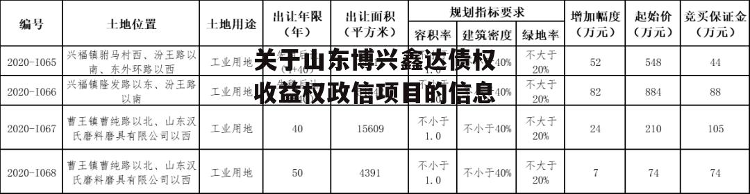 关于山东博兴鑫达债权收益权政信项目的信息