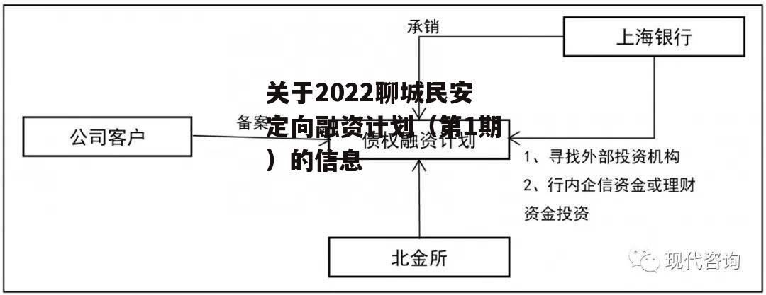 关于2022聊城民安定向融资计划（第1期）的信息