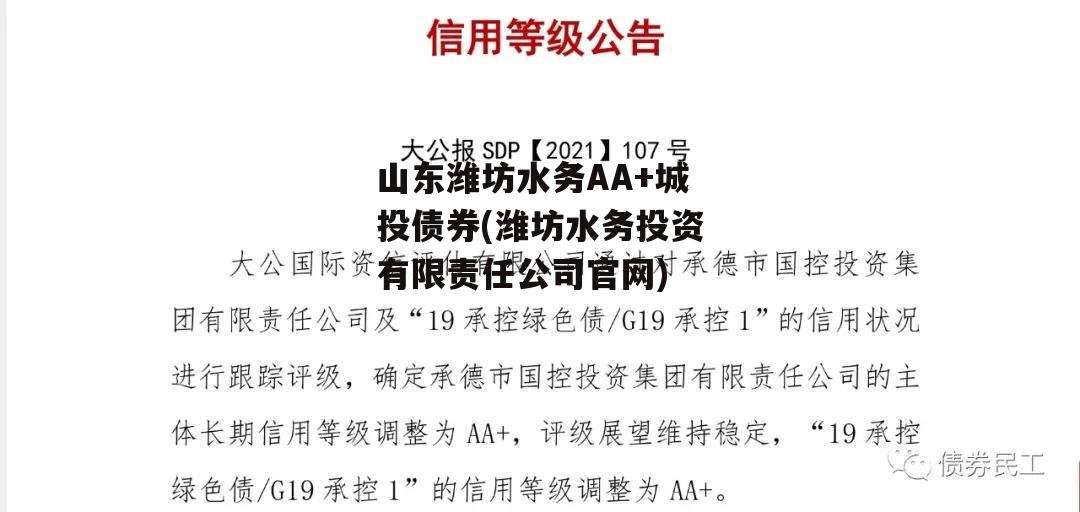 山东潍坊水务AA+城投债券(潍坊水务投资有限责任公司官网)