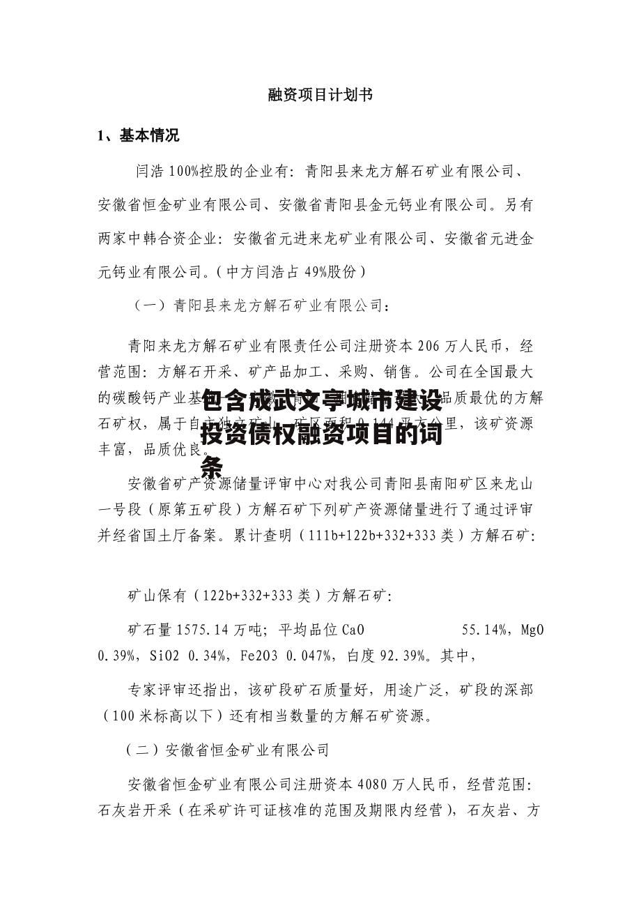 包含成武文亭城市建设投资债权融资项目的词条