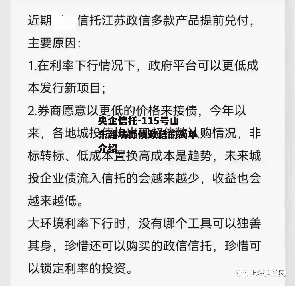 央企信托-115号山东潍坊标债政信的简单介绍