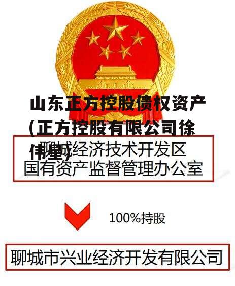 山东正方控股债权资产(正方控股有限公司徐伟星)