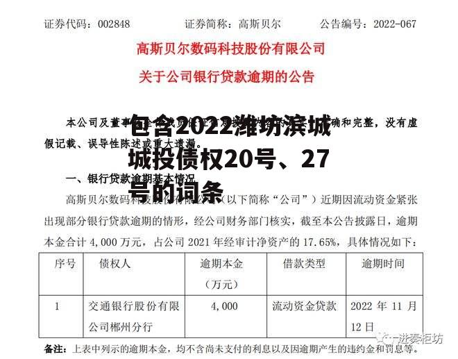 包含2022潍坊滨城城投债权20号、27号的词条