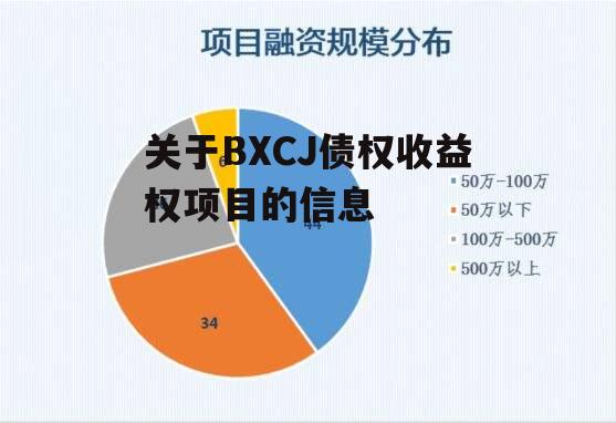 关于BXCJ债权收益权项目的信息