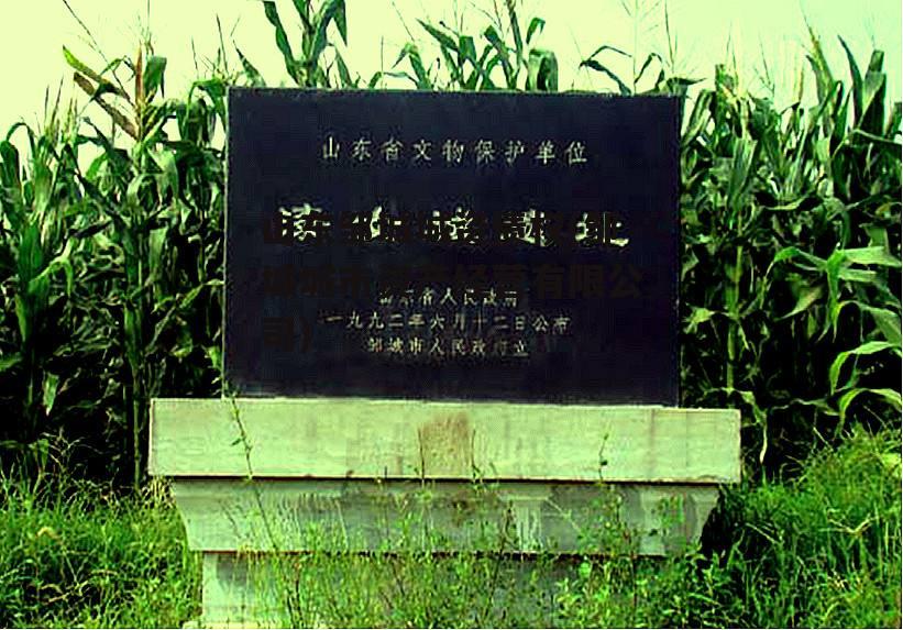 山东邹城城资债权(邹城城市资产经营有限公司)