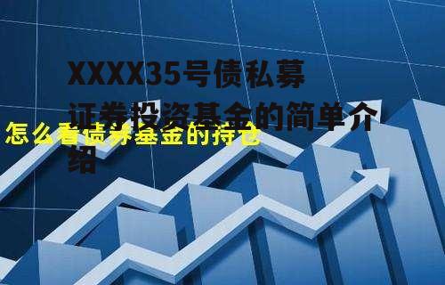 XXXX35号债私募证券投资基金的简单介绍