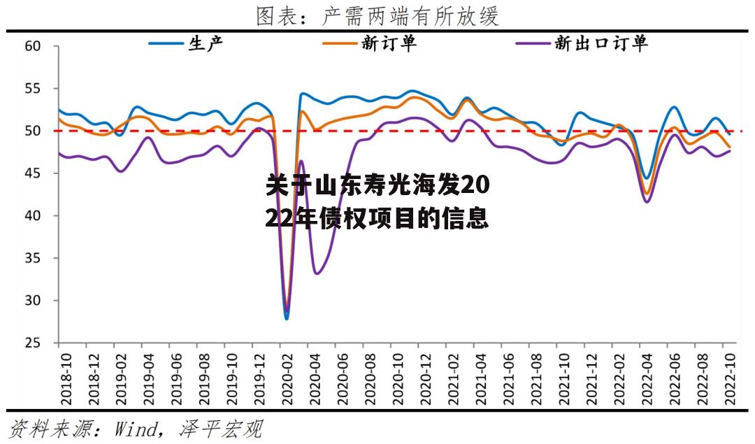 关于山东寿光海发2022年债权项目的信息