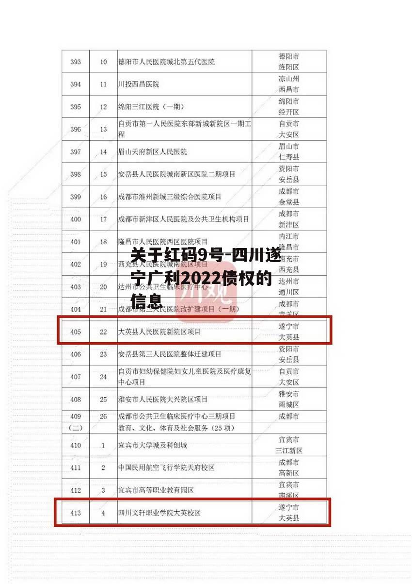 关于红码9号-四川遂宁广利2022债权的信息