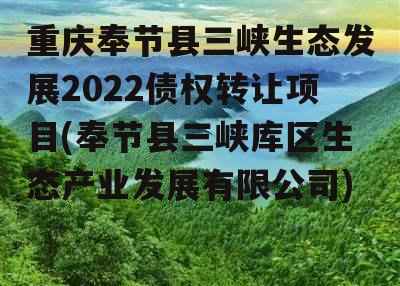 重庆奉节县三峡生态发展2022债权转让项目(奉节县三峡库区生态产业发展有限公司)