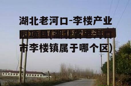 湖北老河口-李楼产业园项目(湖北省老河口市李楼镇属于哪个区)