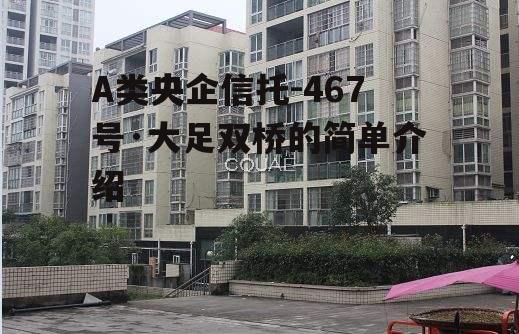 A类央企信托-467号·大足双桥的简单介绍