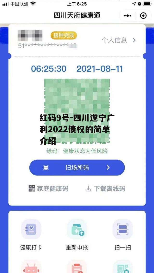 红码9号-四川遂宁广利2022债权的简单介绍