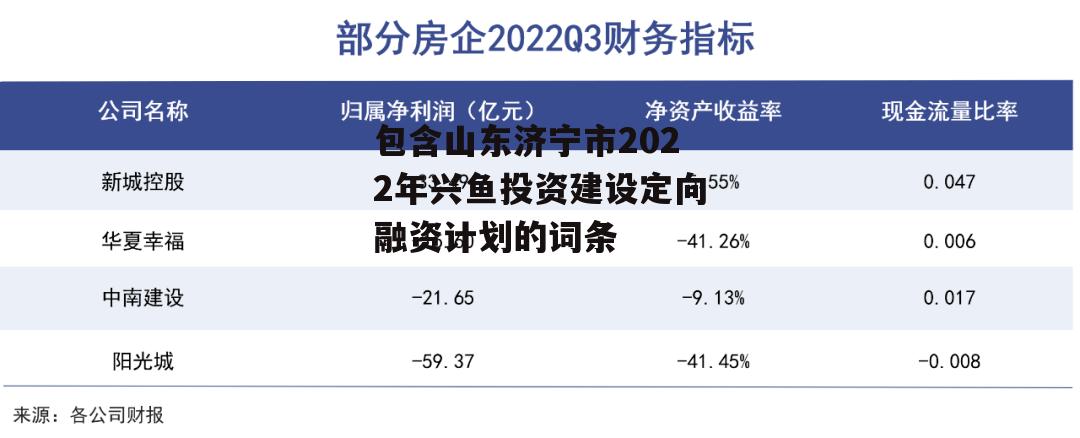 包含山东济宁市2022年兴鱼投资建设定向融资计划的词条