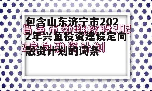 包含山东济宁市2022年兴鱼投资建设定向融资计划的词条