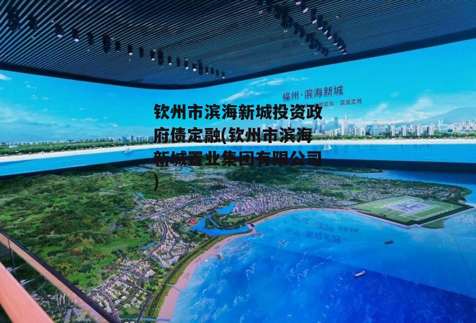 钦州市滨海新城投资政府债定融(钦州市滨海新城置业集团有限公司)