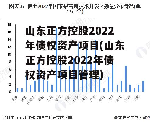 山东正方控股2022年债权资产项目(山东正方控股2022年债权资产项目管理)