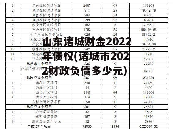 山东诸城财金2022年债权(诸城市2022财政负债多少元)