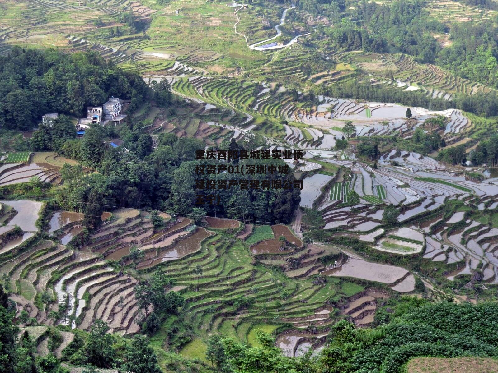 重庆酉阳县城建实业债权资产01(深圳中城建投资产管理有限公司王宁)