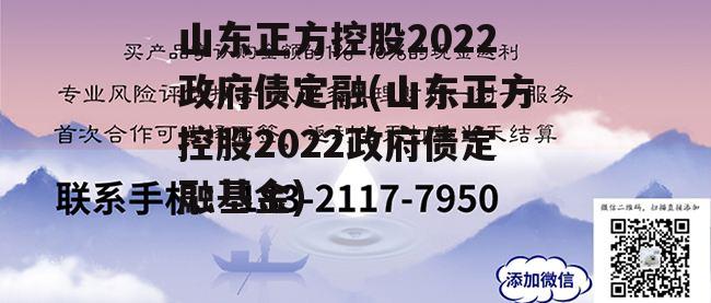 山东正方控股2022政府债定融(山东正方控股2022政府债定融基金)