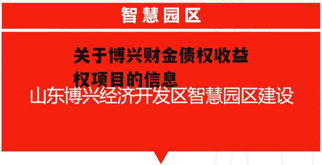 关于博兴财金债权收益权项目的信息