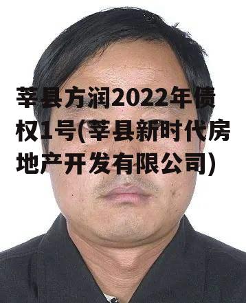 莘县方润2022年债权1号(莘县新时代房地产开发有限公司)