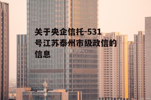 关于央企信托-531号江苏泰州市级政信的信息