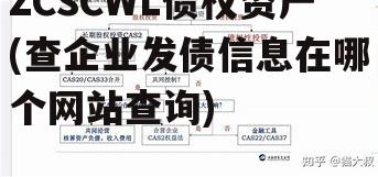 ZCSCWL债权资产(查企业发债信息在哪个网站查询)