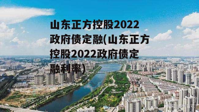 山东正方控股2022政府债定融(山东正方控股2022政府债定融利率)