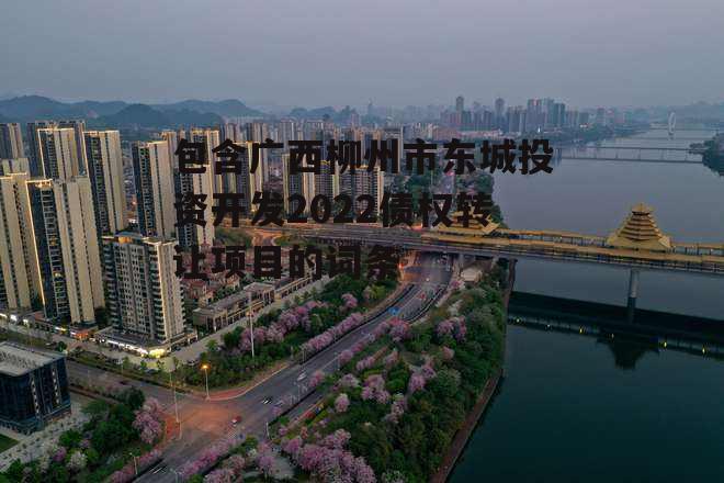 包含广西柳州市东城投资开发2022债权转让项目的词条