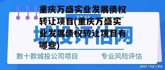 重庆万盛实业发展债权转让项目(重庆万盛实业发展债权转让项目有哪些)