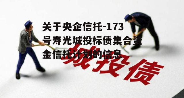 关于央企信托-173号寿光城投标债集合资金信托计划的信息