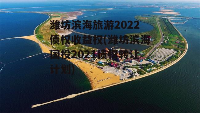 潍坊滨海旅游2022债权收益权(潍坊滨海国投2021债权转让计划)