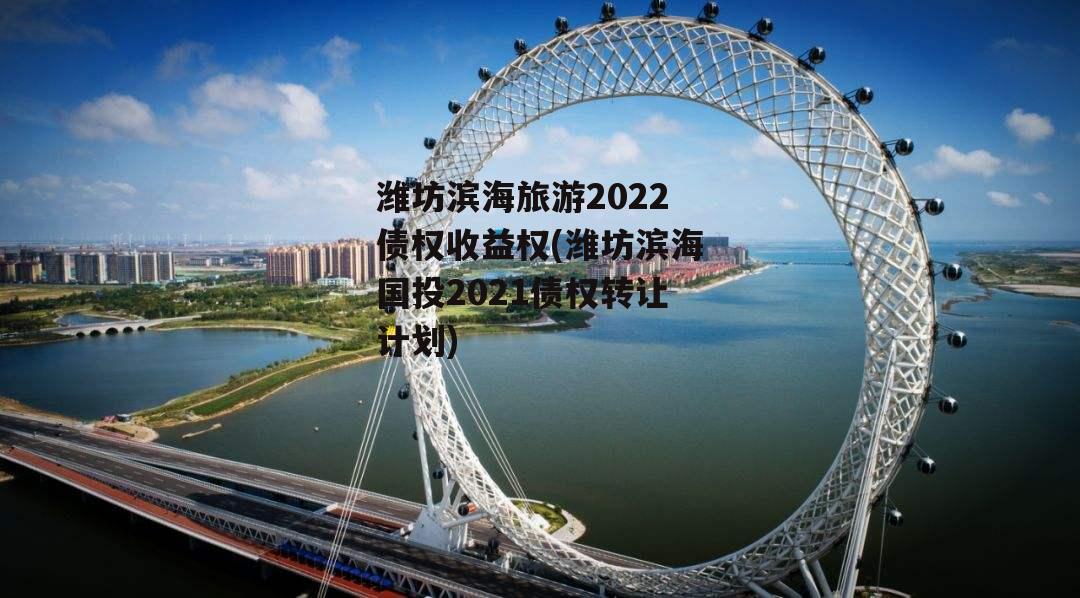 潍坊滨海旅游2022债权收益权(潍坊滨海国投2021债权转让计划)