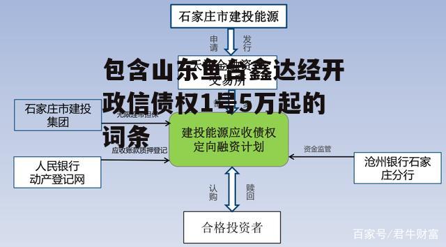 包含山东鱼台鑫达经开政信债权1号5万起的词条