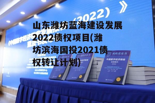 山东潍坊蓝海建设发展2022债权项目(潍坊滨海国投2021债权转让计划)