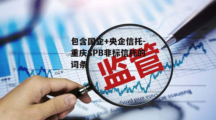 包含国企+央企信托-重庆SPB非标信托的词条