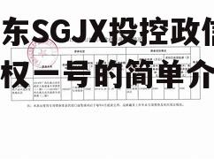 山东SGJX投控政信债权一号的简单介绍