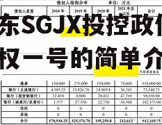 山东SGJX投控政信债权一号的简单介绍