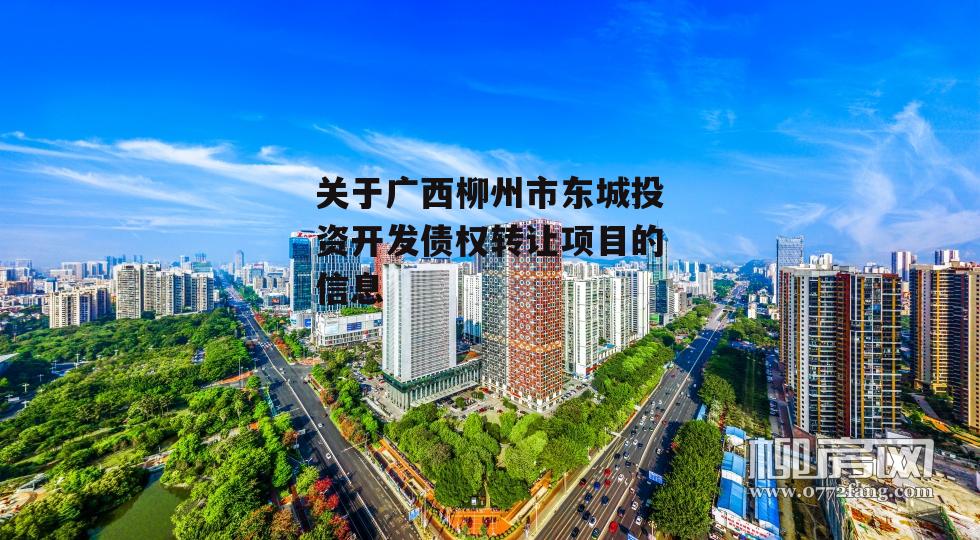 关于广西柳州市东城投资开发债权转让项目的信息