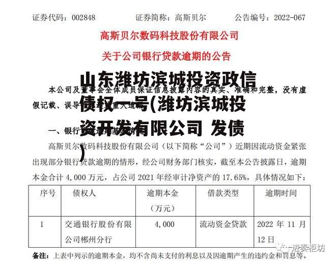 山东潍坊滨城投资政信债权一号(潍坊滨城投资开发有限公司 发债)